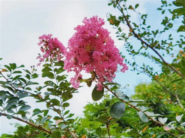 呼吸鮮氧，踐行公益——廣東博皓公益活動(dòng)：星溪線公益環(huán)?；顒?dòng)   -5