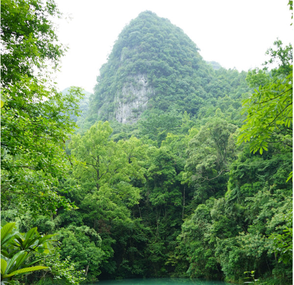 賞華夏大地，游多彩貴州-－2021年廣東博皓快樂行-2