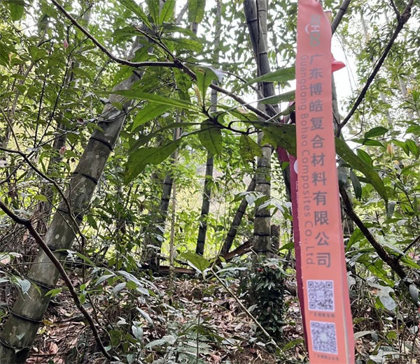 凝心聚力再出發(fā)，風(fēng)雨同舟赴星溪！--廣東博皓2024龍年首登星溪之旅     -2