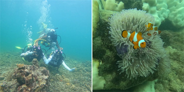 暢游碧海藍天，共筑團隊夢想—博皓沙巴風情之旅        -4
