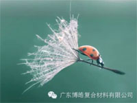 【博皓感悟】成功，要“借力”，不要“盡力”