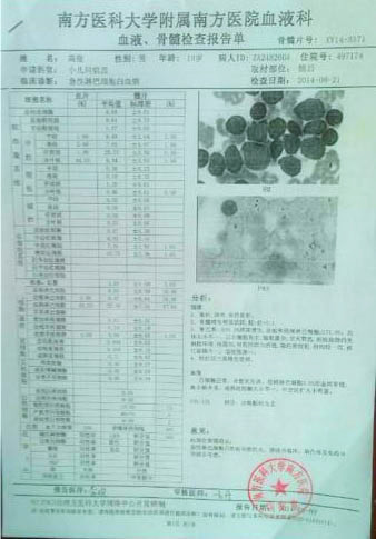 高俊的血液、骨髓檢查報告單